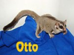 Otto and Odette have son and daughter