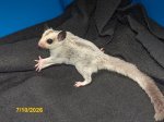 Levon and Porsha’s platinum male! Levon and Porsha’s platinum male!