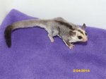 Kasey and Kelli’s little boy!