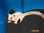 Levon and Porsha’s platinum girl!