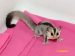 Wendell and Nambi have a son!